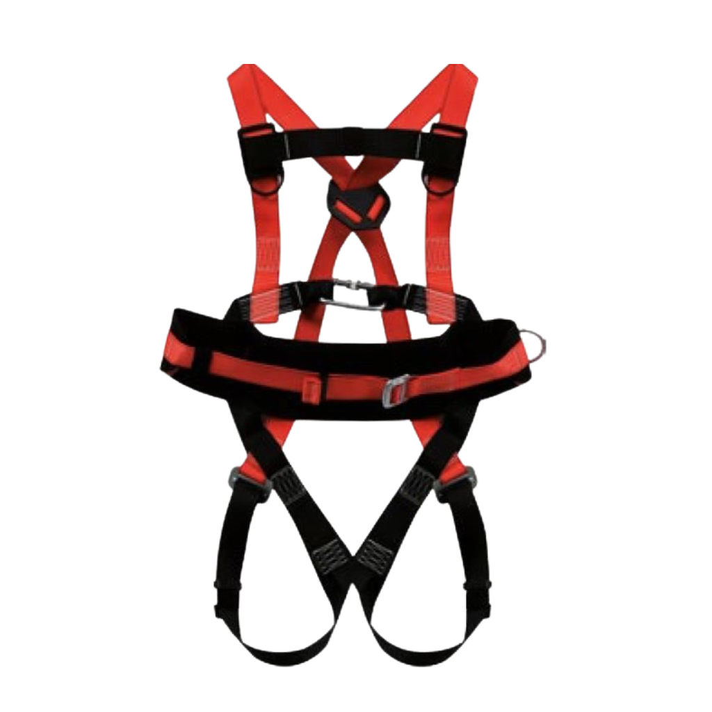 Arnes cuerpo completo 3 puntos con cinturon 