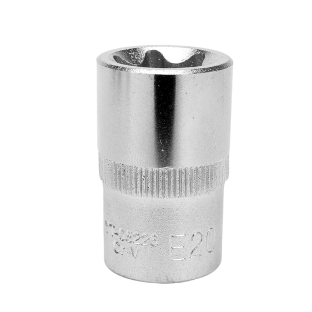 COPA TORX E20 RAIZ 1/2