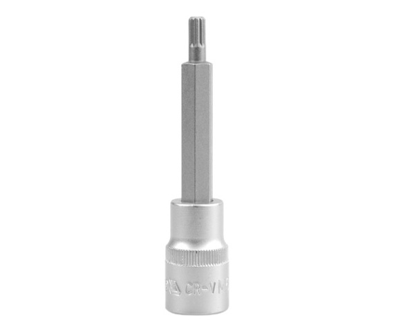 Copa estriada torx m6 x 4 raiz 1/2  