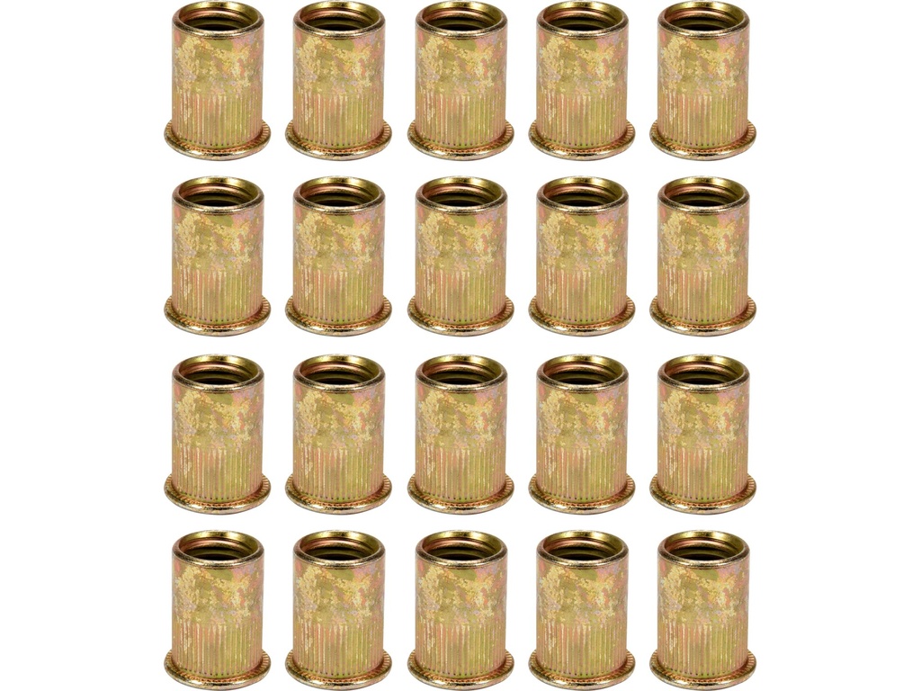 Remaches roscable m12 20 pzs  