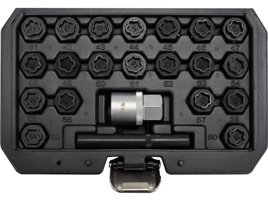 Copas de seguridad para pernos de llantas BMW 22 pcs 