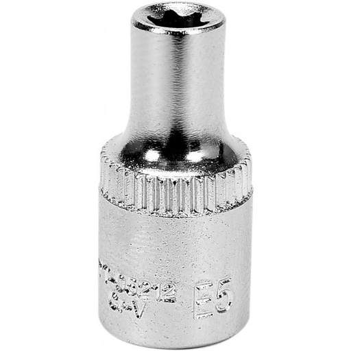 copa torx e5 raiz 1/4 