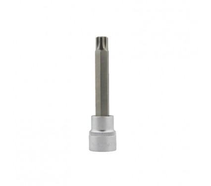 Copa t55, 1/2" de punta torx 