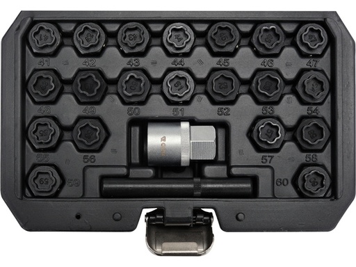 Copas de seguridad para pernos de llantas BMW 22 pcs 